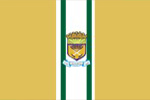 bandeira de Curionópolis